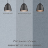 Обои флизелиновые CL72688-44i Concept Line Адажио Темно-серый 1.06м